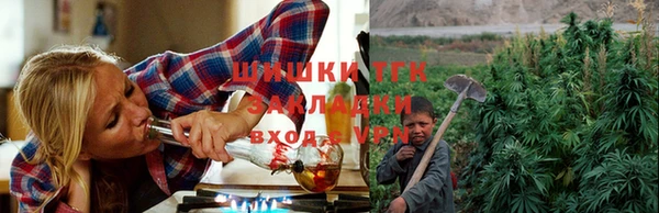 стаф Абаза